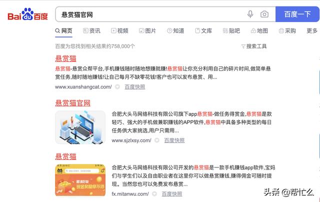亲身体验悬赏猫：了解悬赏猫