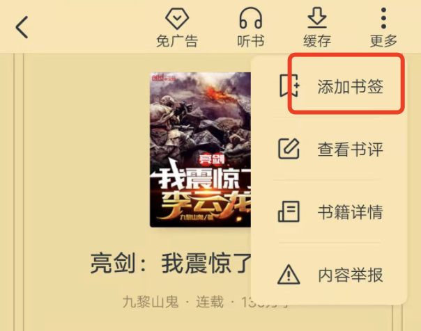 淘小说这个软件怎么加书签？